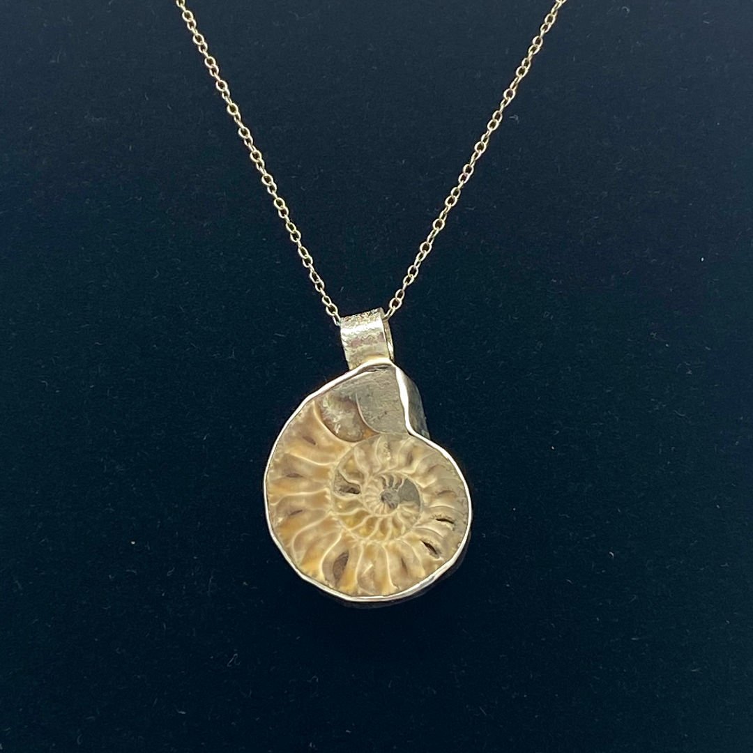 Ammonite Fossil Necklace | Kim Stahl Designs